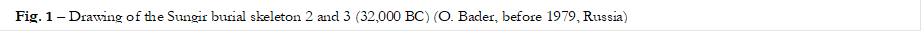 Fig. 17  Drawing of the Sungir burial skeleton 2 and 3 (32,000 BC) (O. Bader, before 1979, Russia)

