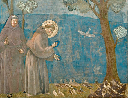 Saint Francis of Assisi preaching to the birds. Giotto. Painting by Giotto  di Bondone -1266-1337-