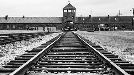 Image result for auschwitz train